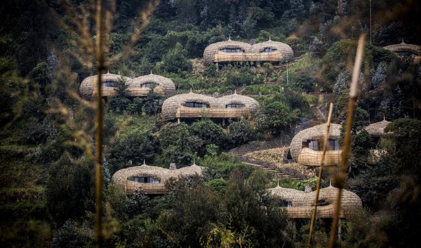 Bisate Lodge forest villas with views over Volcanoes National Park, Rwanda